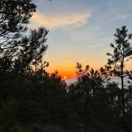 Pine Baltic Shellter Apartament