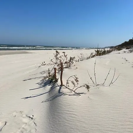 Pine Baltic Shellter Apartman *