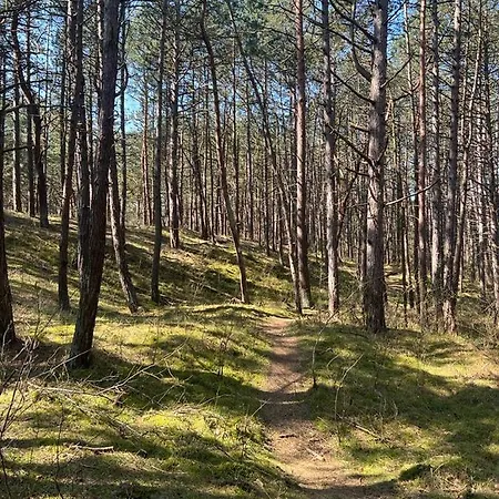 Apartman Pine Baltic Shellter *