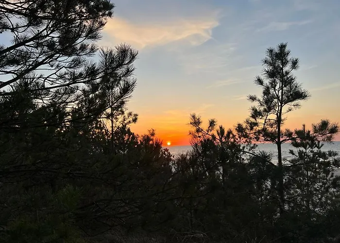 Pine Baltic Shellter Διαμέρισμα