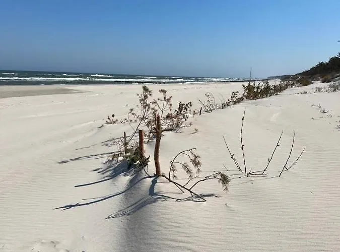 Pine Baltic Shellter Διαμέρισμα *