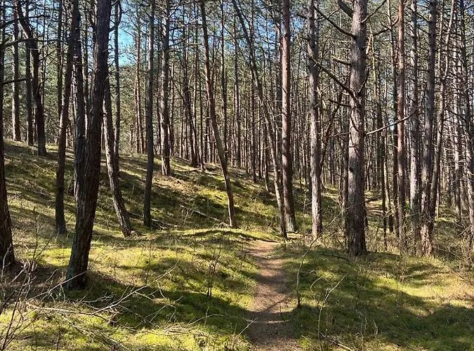 Διαμέρισμα Pine Baltic Shellter *